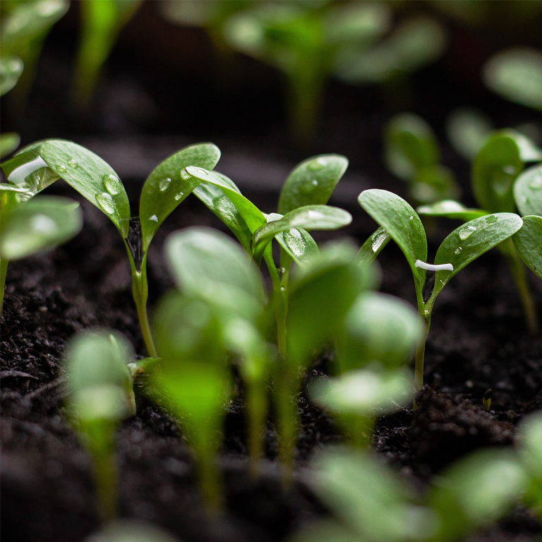 Sharing our Sustainability Goals